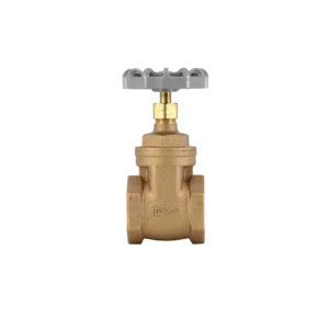 AVK-ICV Bronze Gate Valve PN20