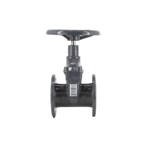 AVK-ICV NON RISING GATE VALVE PN16